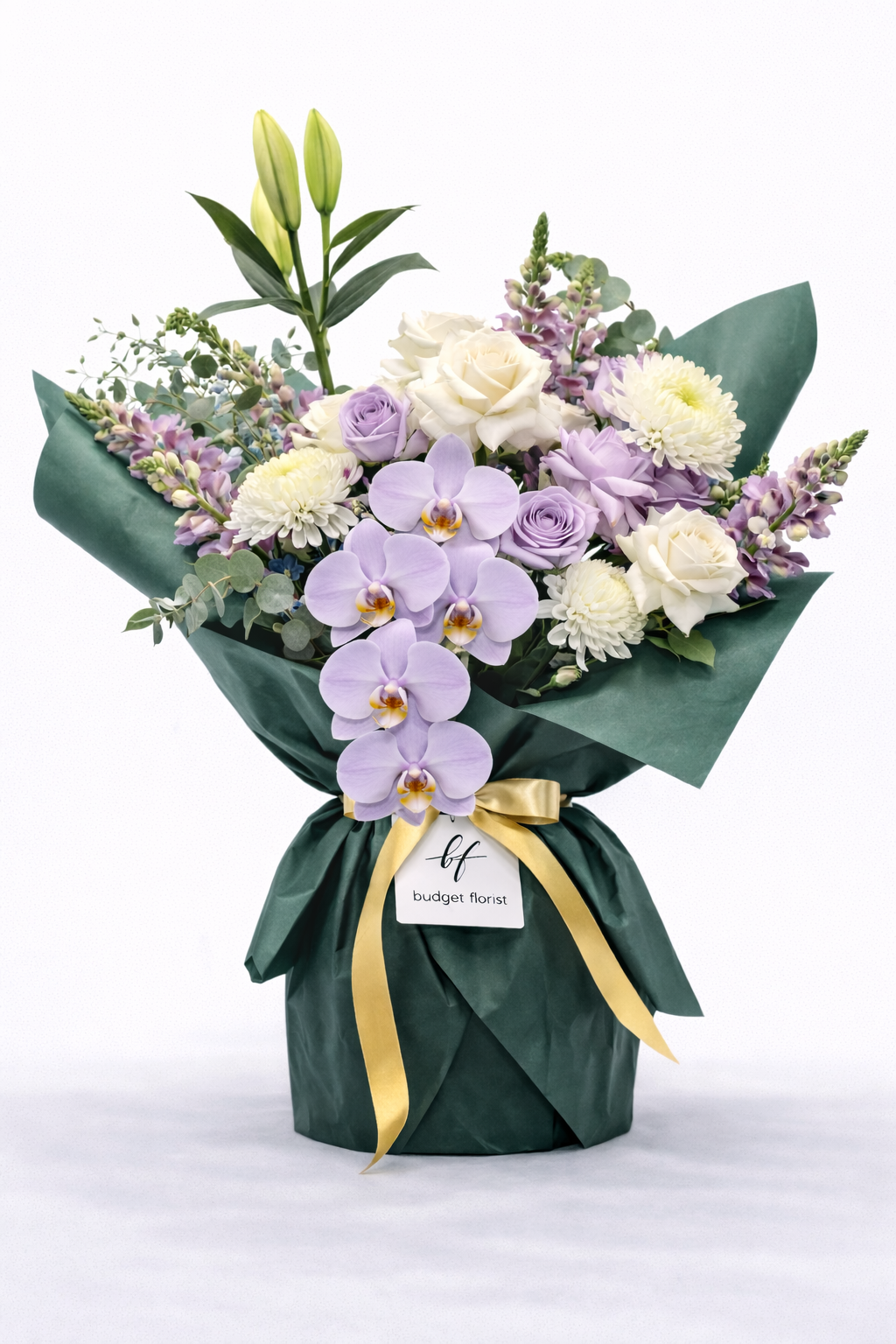 the bf MARCH DROP - ORCHID EDITION